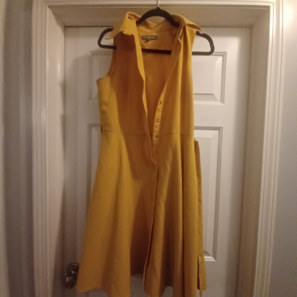 Yellow Sleeveless Button-Up Dress